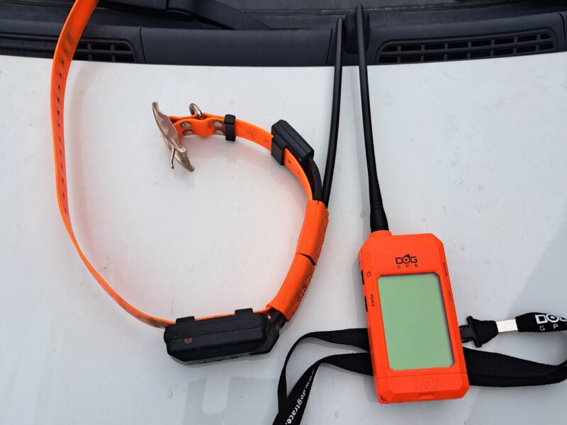 satellitare dogtace x20+